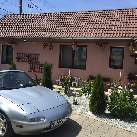 Вілла Casa Rustica Cu Terasa Медіаш Екстер'єр фото