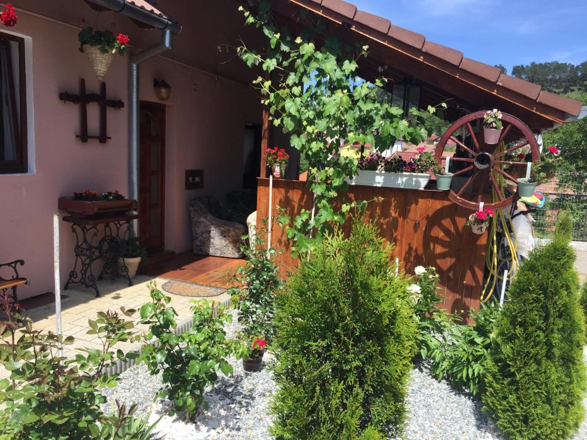 Вілла Casa Rustica Cu Terasa Медіаш Екстер'єр фото